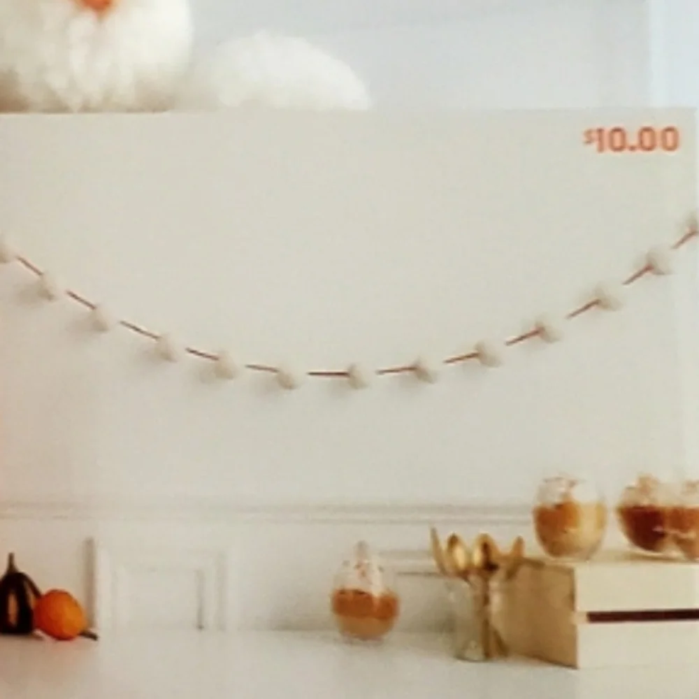 Hyde & Eek! 6ft White/Orange Pom Pom Garland